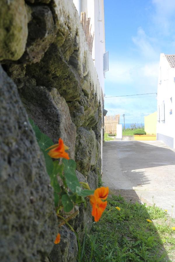 Casa Das Camarinhas Raal 542- Casa Partilhada Ginetes Eksteriør billede